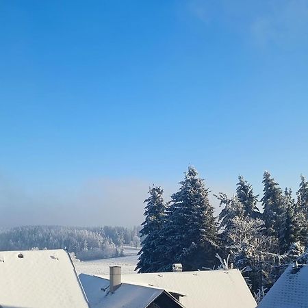 Pension Thueringer Wald Reichmannsdorf Dış mekan fotoğraf