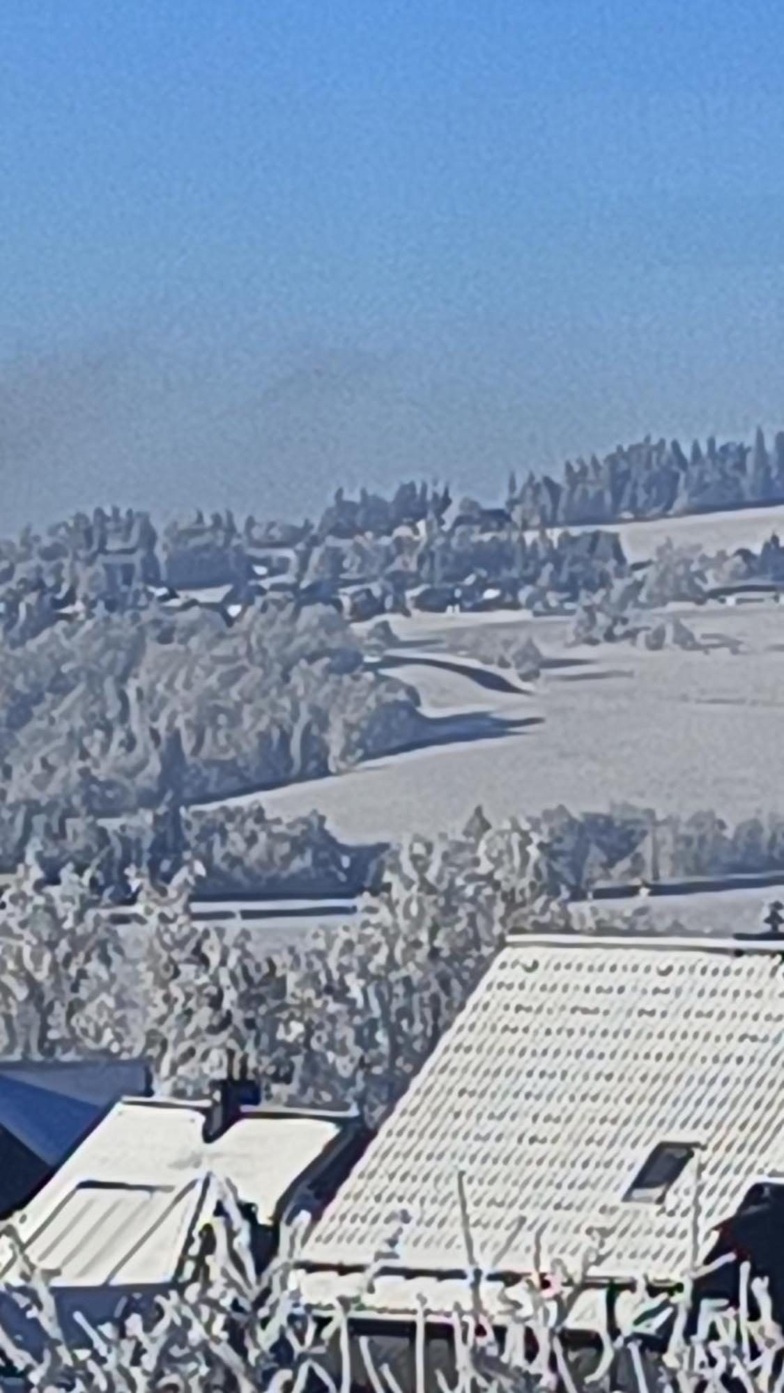 Pension Thueringer Wald Reichmannsdorf Dış mekan fotoğraf